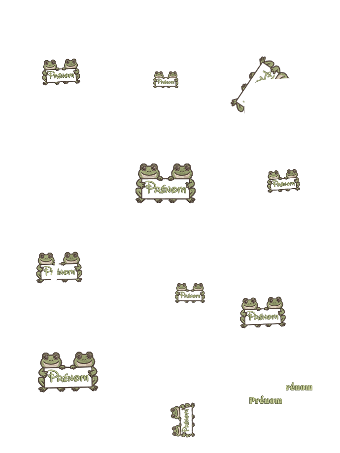 dessin enfant personnalisé grenouille  Coffret Enfant Pop Max  premium personnalisé brodé avec design grenouille mignons brodé 12