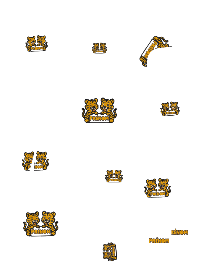 dessin enfant personnalisé tigre Coffret Enfant Pop Max  premium personnalisé brodé avec design tigle mignons brodé 12